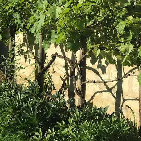 بيت للعطل Abbaye *