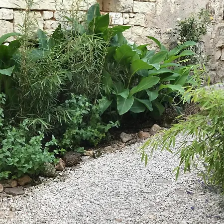 Abbaye فونتيرفارد لو أباي